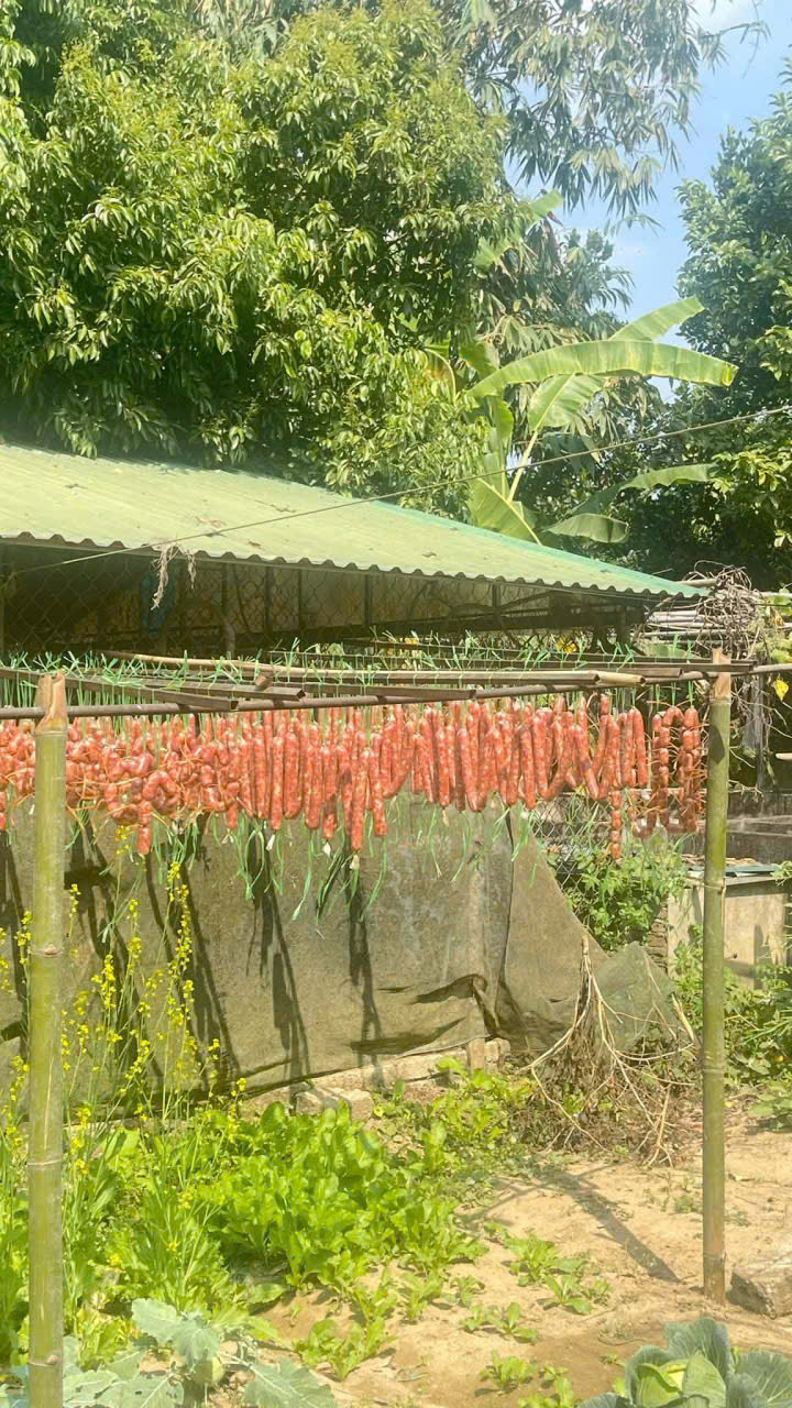             Cô gái Huế thổi hồn vào ẩm thực núi rừng Quỳ Châu- Ảnh 3.