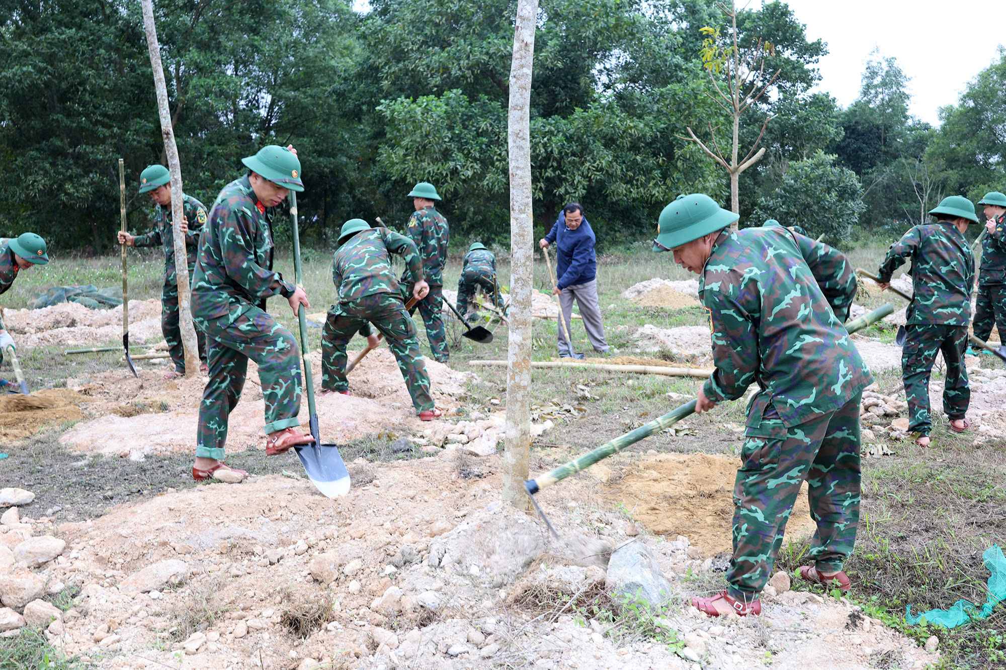 Nghệ An: Lễ phát động "Tết trồng cây đời đời nhớ ơn Bác Hồ" Xuân Ất Tỵ năm 2025- Ảnh 11.