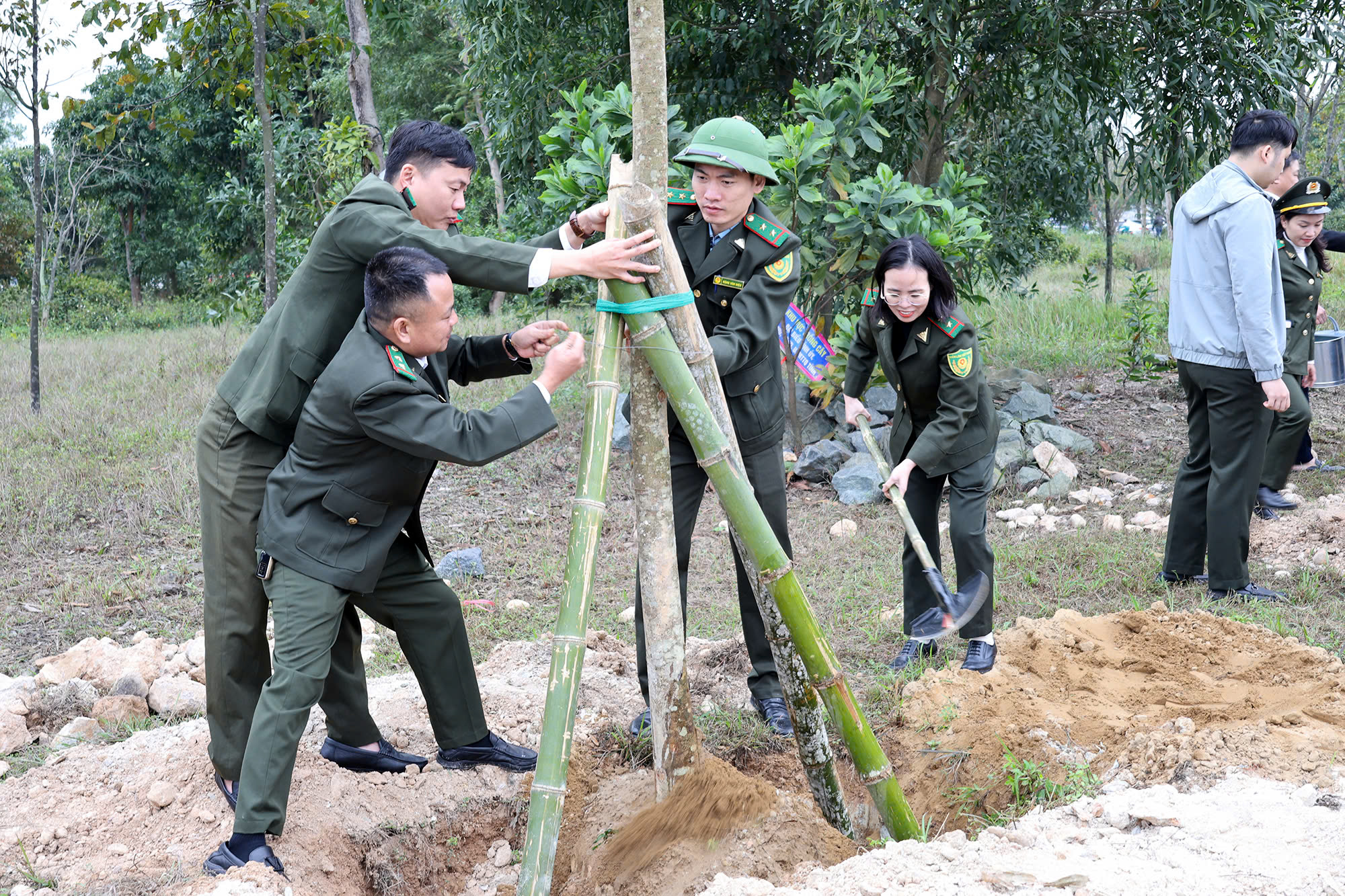 Nghệ An: Lễ phát động "Tết trồng cây đời đời nhớ ơn Bác Hồ" Xuân Ất Tỵ năm 2025- Ảnh 12.