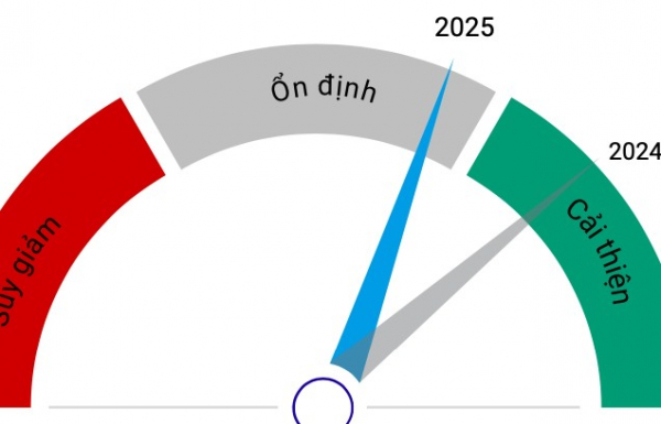 Môi trường tín nhiệm được kỳ vọng ổn định trong năm 2025- Ảnh 1.