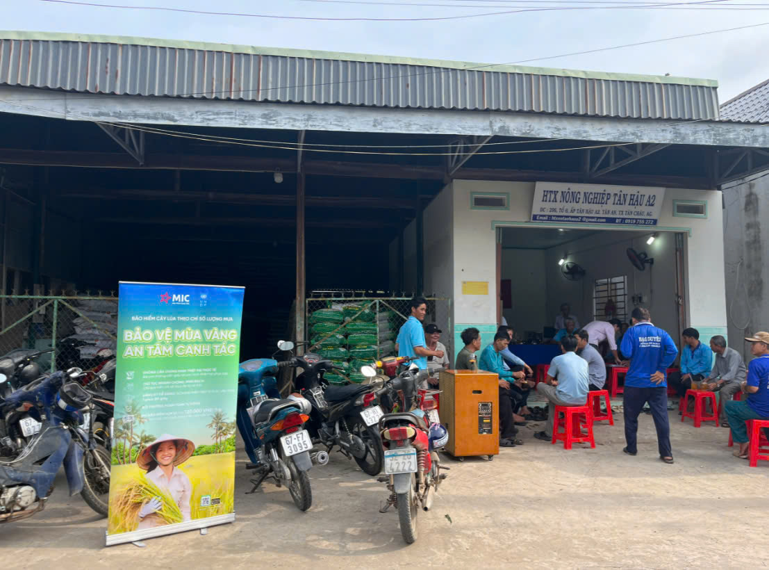 Bảo hiểm cây lúa theo chỉ số lượng mưa: Giải pháp bảo vệ mùa màng cho nông dân- Ảnh 2. https://www.mic.vn/Uploads/%E1%BA%A2nh%20tin%20t%E1%BB%A9c/2025/baohiemcaylua2.jpg