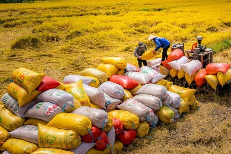 Giá xuất khẩu gạo trung bình 4 tháng giảm 19,8%- Ảnh 1. Giá xuất khẩu gạo trung bình 4 tháng giảm 19,8%- Ảnh 1.