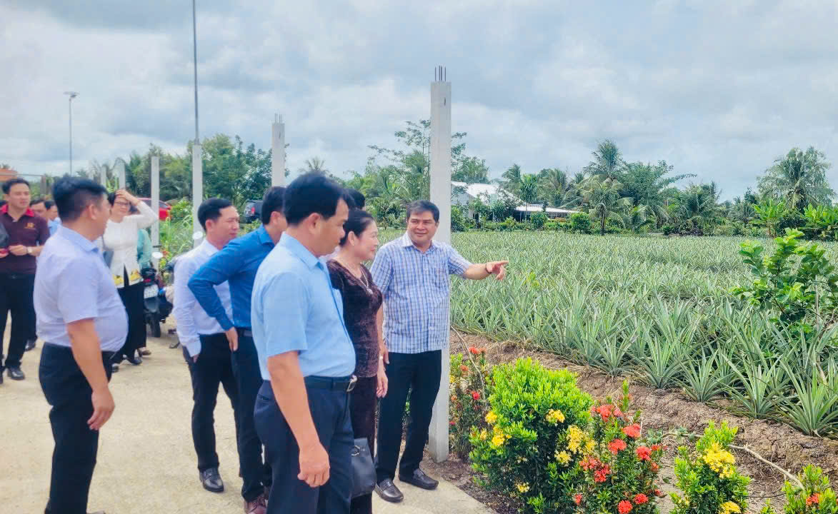 Hậu Giang: Ra mắt mô hình du lịch cộng đồng vùng khóm Cầu Đúc- Ảnh 8.