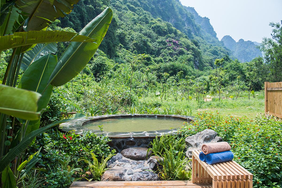 Thay lời muốn nói, hãy dành tặng những người đã nuôi dưỡng bạn món quà đặc biệt ý nghĩa này- Ảnh 2. Thay lời muốn nói, hãy dành tặng những người đã nuôi dưỡng bạn món quà đặc biệt ý nghĩa này- Ảnh 2.