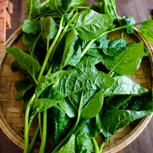Rau dại một thời giờ là "vua mùa hè", nhà nào cũng đua nhau trồng, chẳng cần chăm vẫn xanh um- Ảnh 1. Rau dại một thời giờ là "vua mùa hè", nhà nào cũng đua nhau trồng, chẳng cần chăm vẫn xanh um- Ảnh 1.