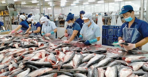 Xuất khẩu thủy sản hướng đến mục tiêu 14-16 tỷ USD vào năm 2030- Ảnh 1. Xuất khẩu thủy sản hướng đến mục tiêu 14-16 tỷ USD vào năm 2030- Ảnh 1.