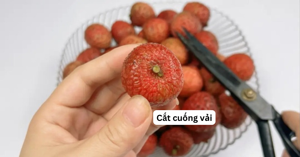 Vải mua về đừng vội cất tủ lạnh: Làm cách này tươi lâu hơn, để cả tháng vẫn ngọt mọng- Ảnh 2. Vải mua về đừng vội cất tủ lạnh: Làm cách này tươi lâu hơn, để cả tháng vẫn ngọt mọng- Ảnh 2.
