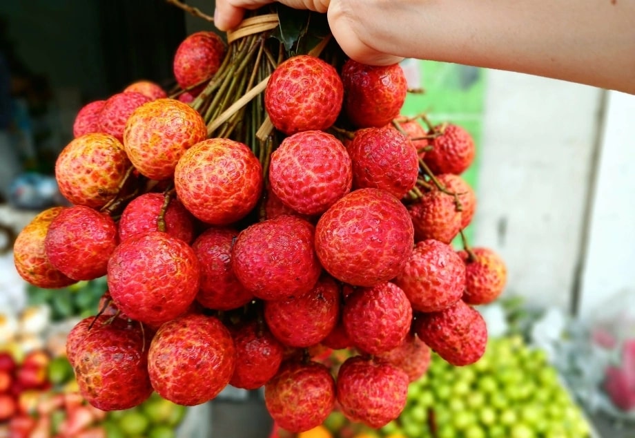 Vải mua về đừng vội cất tủ lạnh: Làm cách này tươi lâu hơn, để cả tháng vẫn ngọt mọng- Ảnh 1. Vải mua về đừng vội cất tủ lạnh: Làm cách này tươi lâu hơn, để cả tháng vẫn ngọt mọng- Ảnh 1.