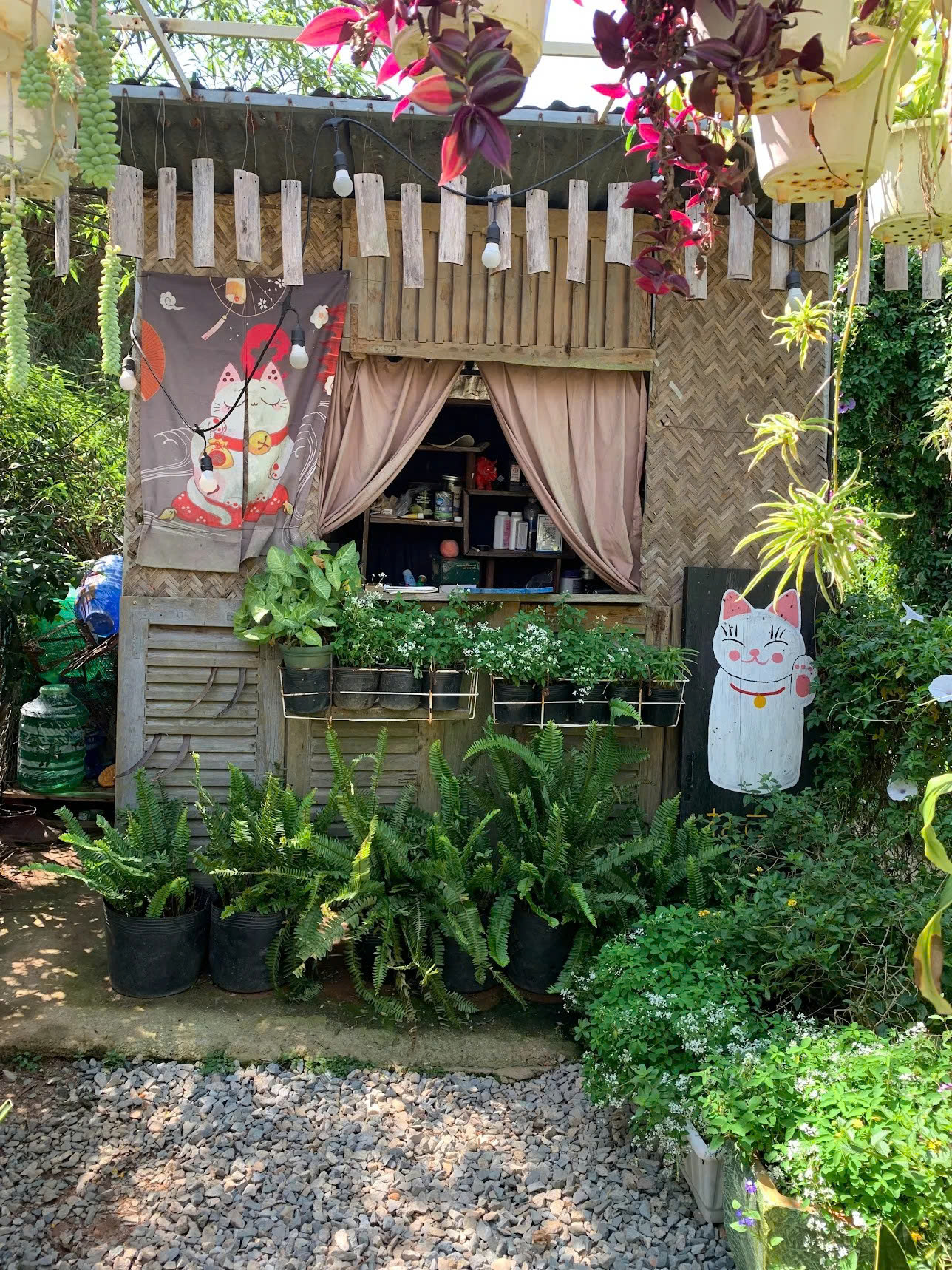 Chủ Thung Lũng Gâu Đà Lạt: Đầu tư nửa tỷ, nợ thêm 300 triệu phải đi phụ hồ để bù lỗ vẫn cố bám trụ vì đâu?- Ảnh 3.