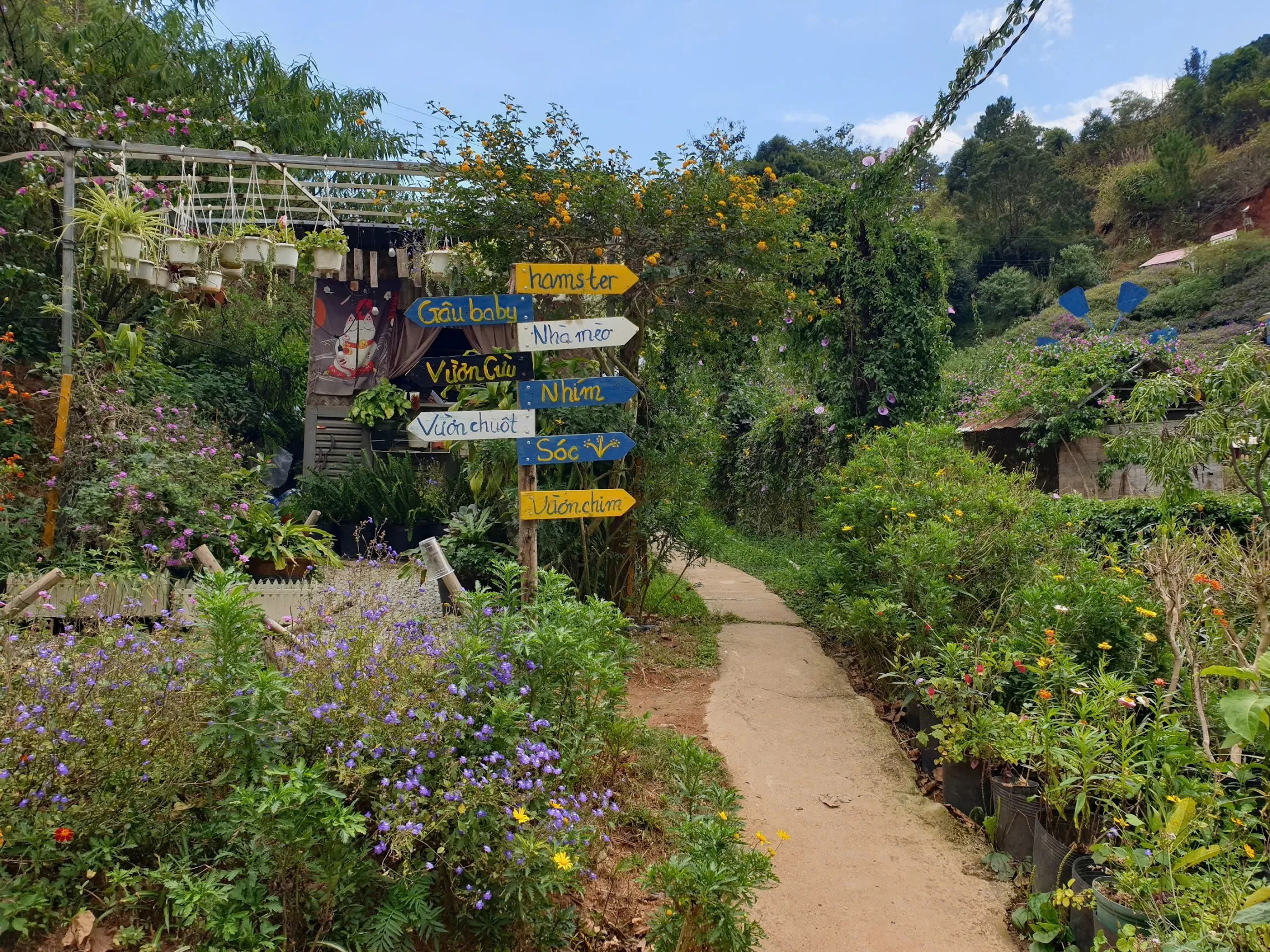 Chủ Thung Lũng Gâu Đà Lạt: Đầu tư nửa tỷ, nợ thêm 300 triệu phải đi phụ hồ để bù lỗ vẫn cố bám trụ vì đâu?- Ảnh 4.