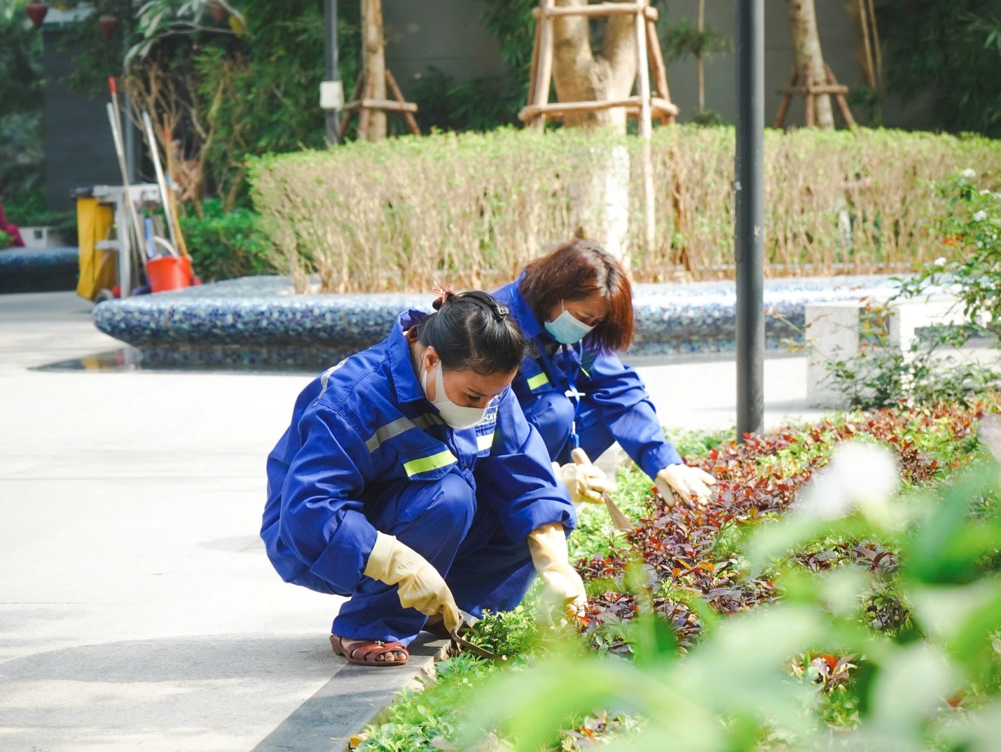 Dịch vụ vận hành chuyên nghiệp nâng tầm trải nghiệm sống ở chung cư- Ảnh 2. Dịch vụ vận hành chuyên nghiệp nâng tầm trải nghiệm sống ở chung cư- Ảnh 2.