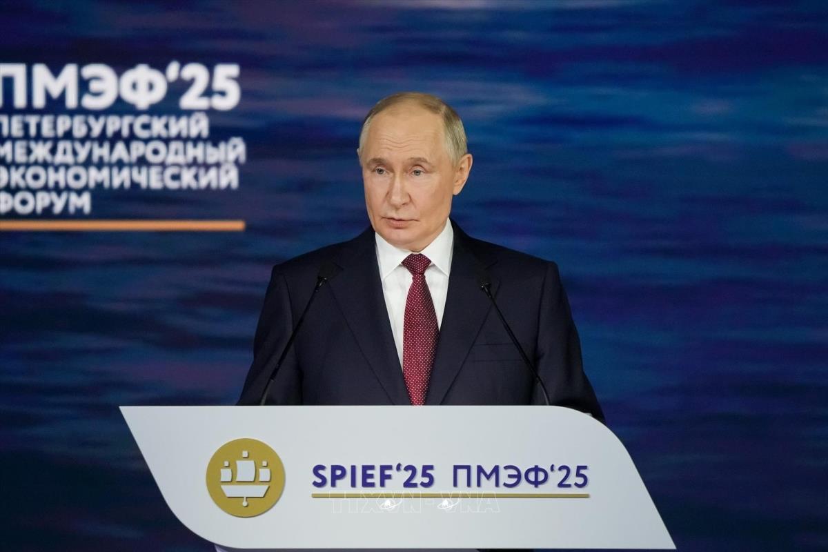 Tổng thống Putin: Chúng tôi sẵn sàng cung cấp cho "những người bạn Việt Nam" cơ hội làm việc ở Nga- Ảnh 1. Tổng thống Putin: Chúng tôi sẵn sàng cung cấp cho "những người bạn Việt Nam" cơ hội làm việc ở Nga- Ảnh 1.