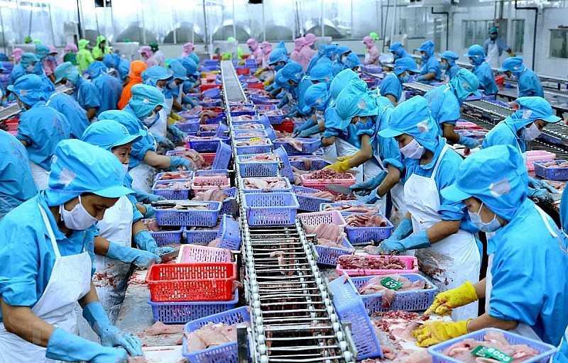 VASEP kiến nghị bảo vệ ngành thủy sản trước nguy cơ thuế quan- Ảnh 1. VASEP kiến nghị bảo vệ ngành thủy sản trước nguy cơ thuế quan- Ảnh 1.