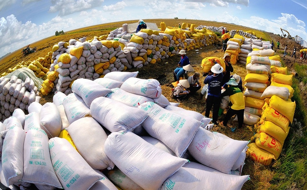 vietnam transforms rice industry as its low-emission rice gains global traction picture 2