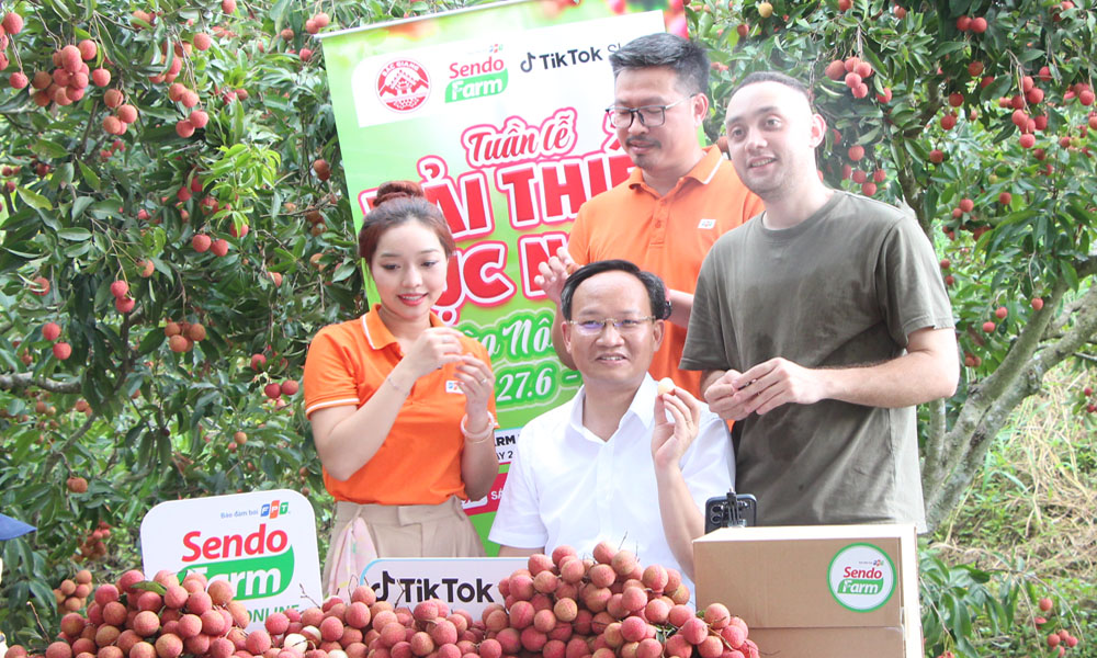 Lần đầu tiên Phó Chủ tịch Bắc Ninh livestream chốt đơn hàng chục tấn vải chỉ trong một buổi sáng- Ảnh 1. Lần đầu tiên Phó Chủ tịch Bắc Ninh livestream chốt đơn hàng chục tấn vải chỉ trong một buổi sáng- Ảnh 1.