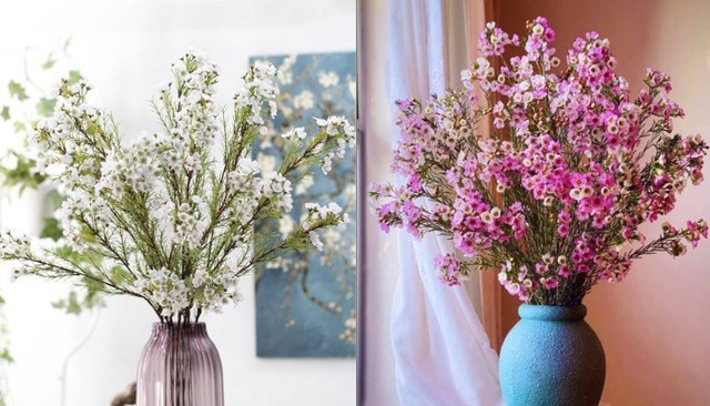 Loài hoa đánh thức tài lộc, cắm trên bàn thờ "đúng lễ nghi, chuẩn phong thủy", bề trên hài lòng!- Ảnh 3.