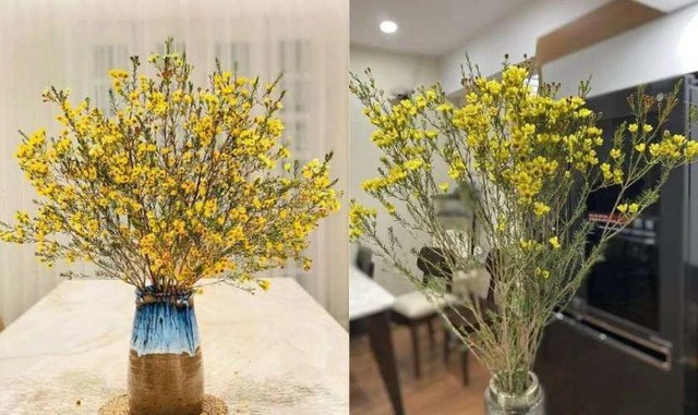 Loài hoa đánh thức tài lộc, cắm trên bàn thờ "đúng lễ nghi, chuẩn phong thủy", bề trên hài lòng!- Ảnh 2.