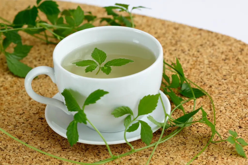 Mỹ đánh giá đây là "thảo dược trường sinh" tốt hơn trà xanh, bổ ngang nhân sâm, Việt Nam trồng cực nhiều- Ảnh 2.