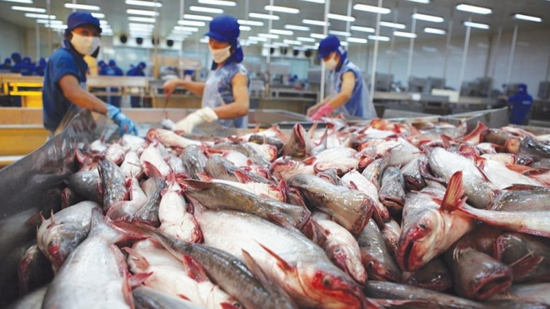 Xuất khẩu cá tra vượt mốc 1 tỷ USD trong nửa đầu năm- Ảnh 1. Xuất khẩu cá tra vượt mốc 1 tỷ USD trong nửa đầu năm- Ảnh 1.