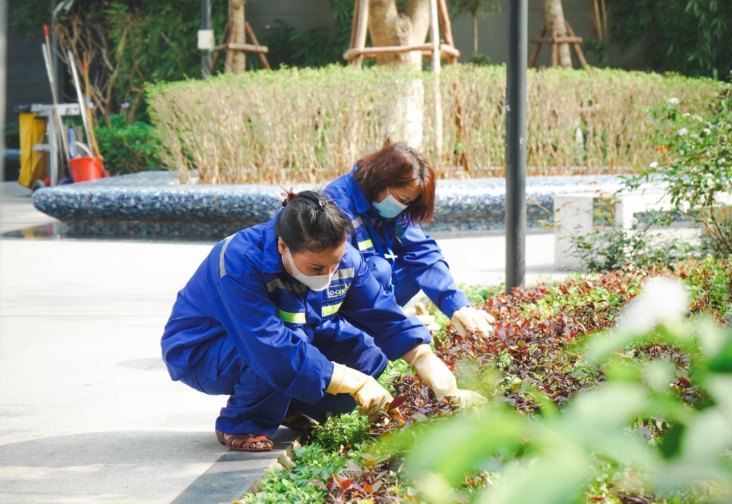 Cảnh quan xanh - Giá trị sống bền vững cần sự chăm sóc chuyên nghiệp- Ảnh 2. Cảnh quan xanh - Giá trị sống bền vững cần sự chăm sóc chuyên nghiệp- Ảnh 2.