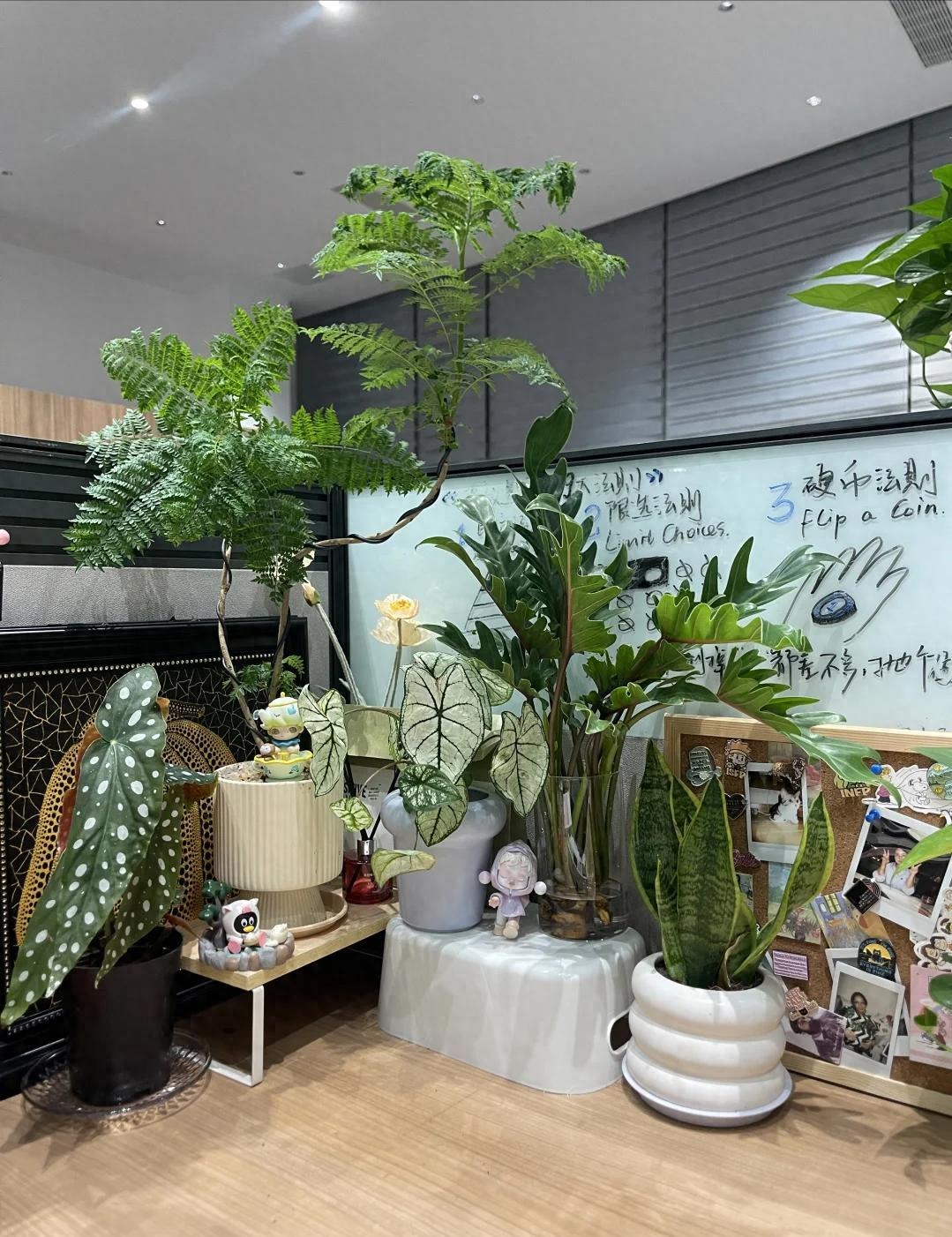 Cô gái được sếp triệu vào phòng riêng nói chuyện, 15 phút sau hoảng hốt chạy ra ôm mặt khóc- Ảnh 1.