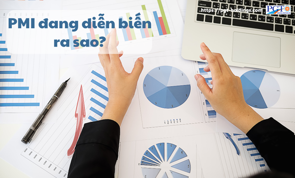 PMI đang diễn biến ra sao?- Ảnh 1.