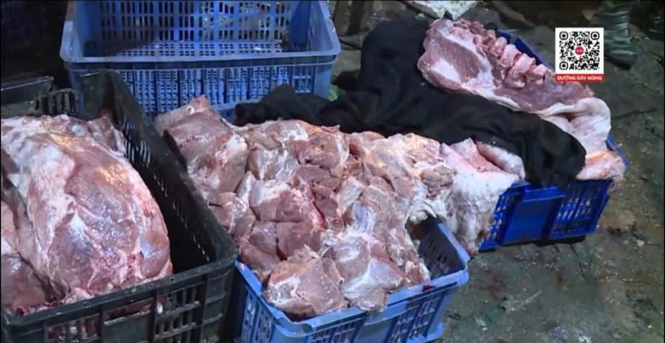 Công an Hà Nội: Triệt phá thành công đường dây giết mổ, tiêu thụ thịt lợn nhiễm bệnh- Ảnh 2. Công an Hà Nội: Triệt phá thành công đường dây giết mổ, tiêu thụ thịt lợn nhiễm bệnh- Ảnh 2.