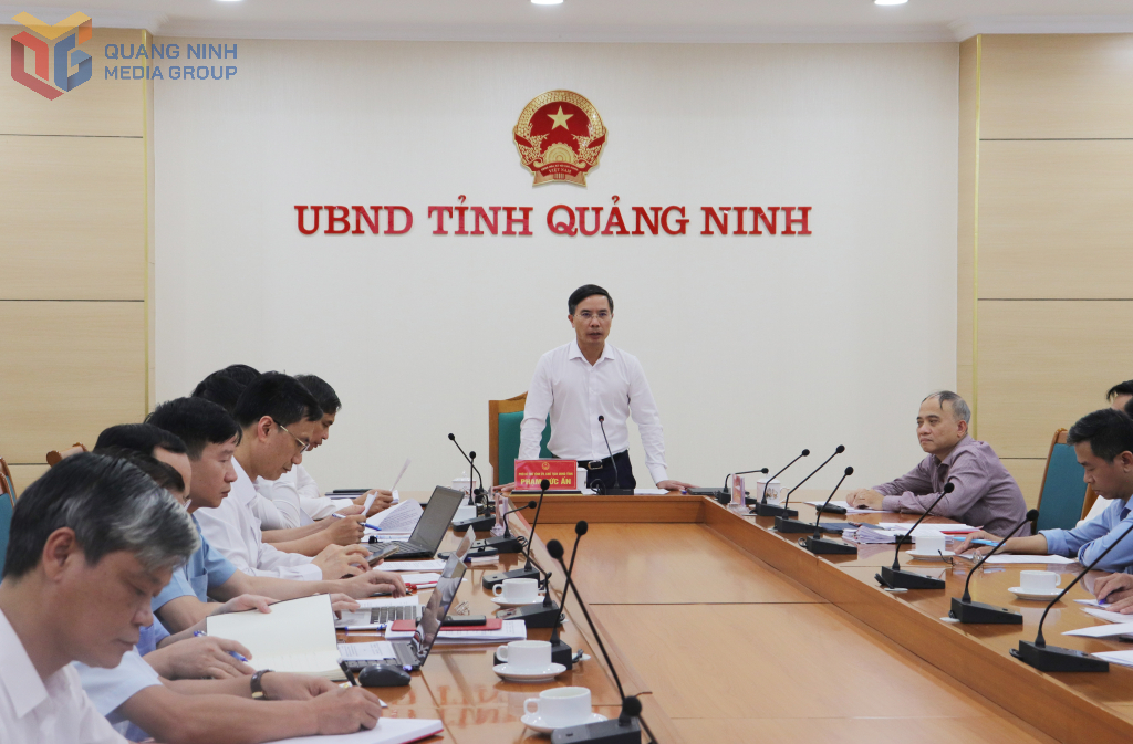 Sau vụ lật tàu Vịnh Xanh 58, Quảng Ninh sẽ nghiên cứu lắp một hệ thống đặc biệt hoạt động 24/24h- Ảnh 1.