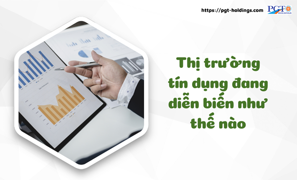 Thị trường tín dụng đang diễn biến như thế nào?- Ảnh 1.