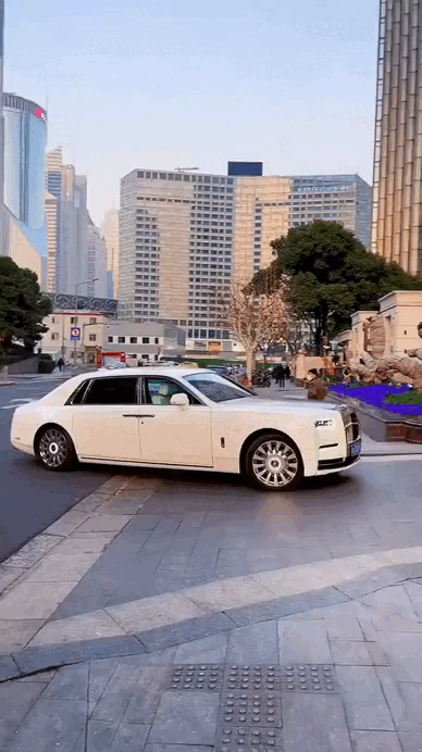 Bủn rủn tay chân trước chung cư của giới siêu giàu: Căn phèn nhất giá 300 tỷ, giúp việc lái Mercedes đi chợ, Huỳnh Hiểu Minh là cư dân!- Ảnh 1.