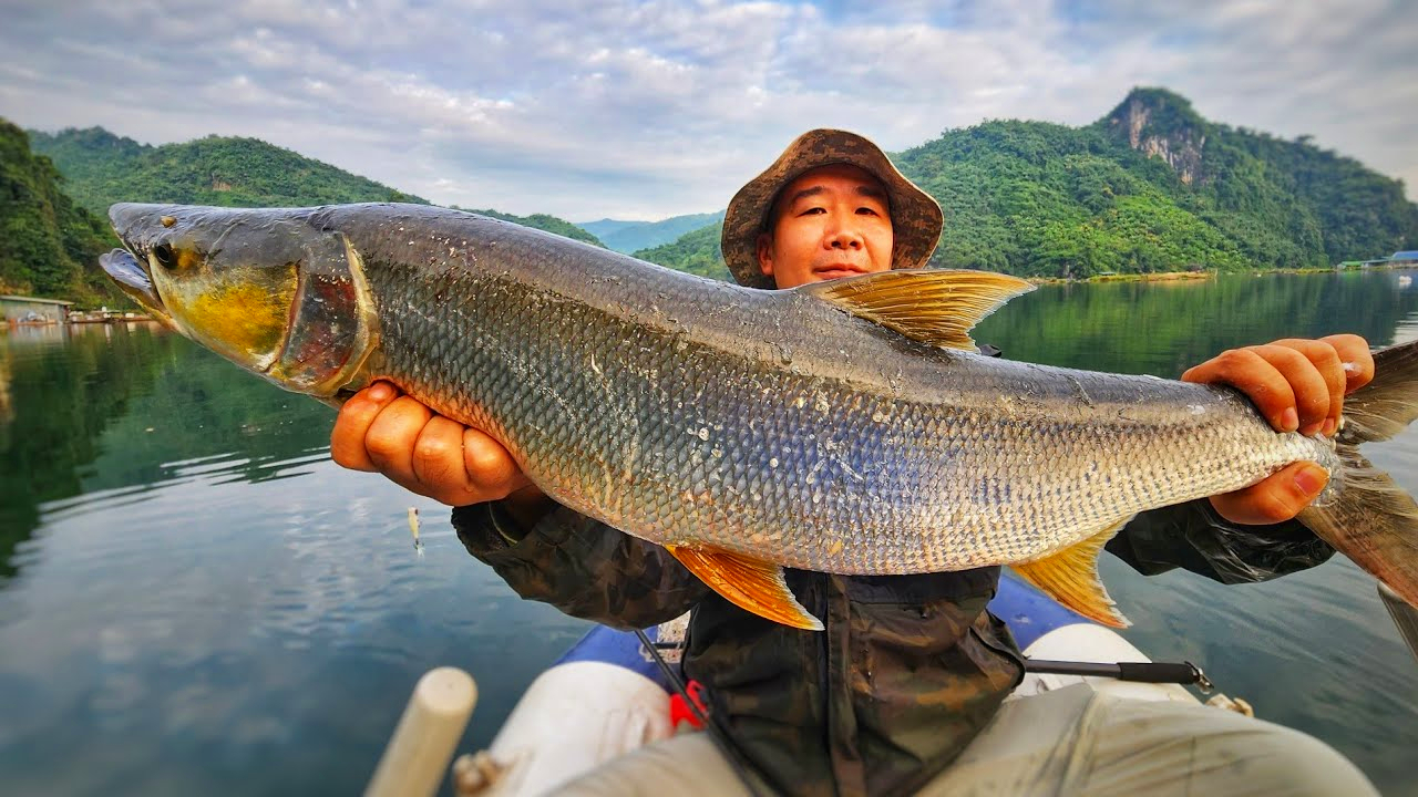 "Cọp nước" sông Đà: Hung dữ không loài cá nước ngọt nào sánh nổi; càng nặng càng đắt giá- Ảnh 1. "Cọp nước" sông Đà: Hung dữ không loài cá nước ngọt nào sánh nổi; càng nặng càng đắt giá- Ảnh 1.