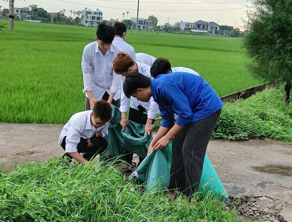 Tuổi trẻ Hưng Yên: 30 ngày cao điểm tổ chức mở lớp "Bình dân học vụ số" đợt 2- Ảnh 5. Tuổi trẻ Hưng Yên: 30 ngày cao điểm tổ chức mở lớp "Bình dân học vụ số" đợt 2- Ảnh 5.