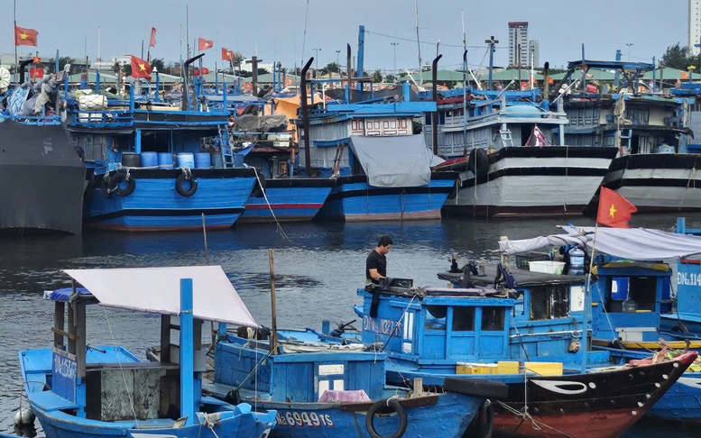 Nhanh chóng khắc phục hậu quả bão số 5 và mưa lũ, khôi phục sản xuất, kinh doanh, ổn định tình hình Nhân dân- Ảnh 30. Nhanh chóng khắc phục hậu quả bão số 5 và mưa lũ, khôi phục sản xuất, kinh doanh, ổn định tình hình Nhân dân- Ảnh 30.
