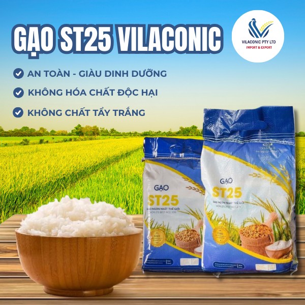 VILACONIC Group - Bản lĩnh từ thương hiệu vàng- Ảnh 3. VILACONIC Group - Bản lĩnh từ thương hiệu vàng- Ảnh 3.