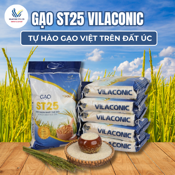 VILACONIC Group - Bản lĩnh từ thương hiệu vàng- Ảnh 2. VILACONIC Group - Bản lĩnh từ thương hiệu vàng- Ảnh 2.