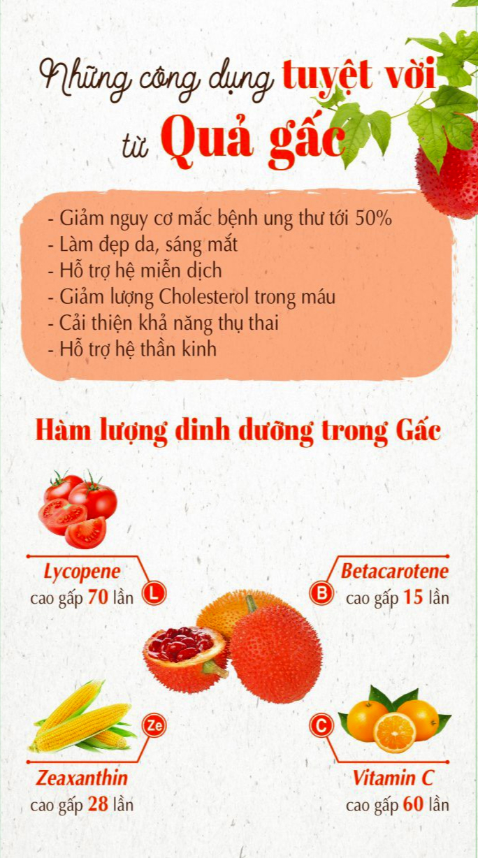 Thăm chiến trường xưa, người lính già biến loài cây ruột đỏ thành "vàng ròng": Thu 25 tỷ mỗi năm- Ảnh 2.