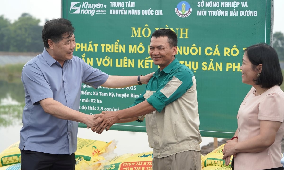 Ruộng hoang biến thành "mỏ vàng" nhờ nuôi sản vật chục triệu USD; Mỹ, Nga đua nhau nhập về- Ảnh 3.