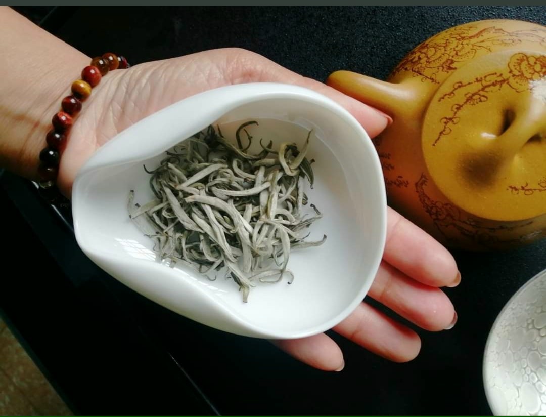 Trên dãy Hoàng Liên Sơn cao nghìn mét có "báu vật sống" trăm năm tuổi: Hiếm có trên đời!- Ảnh 2.