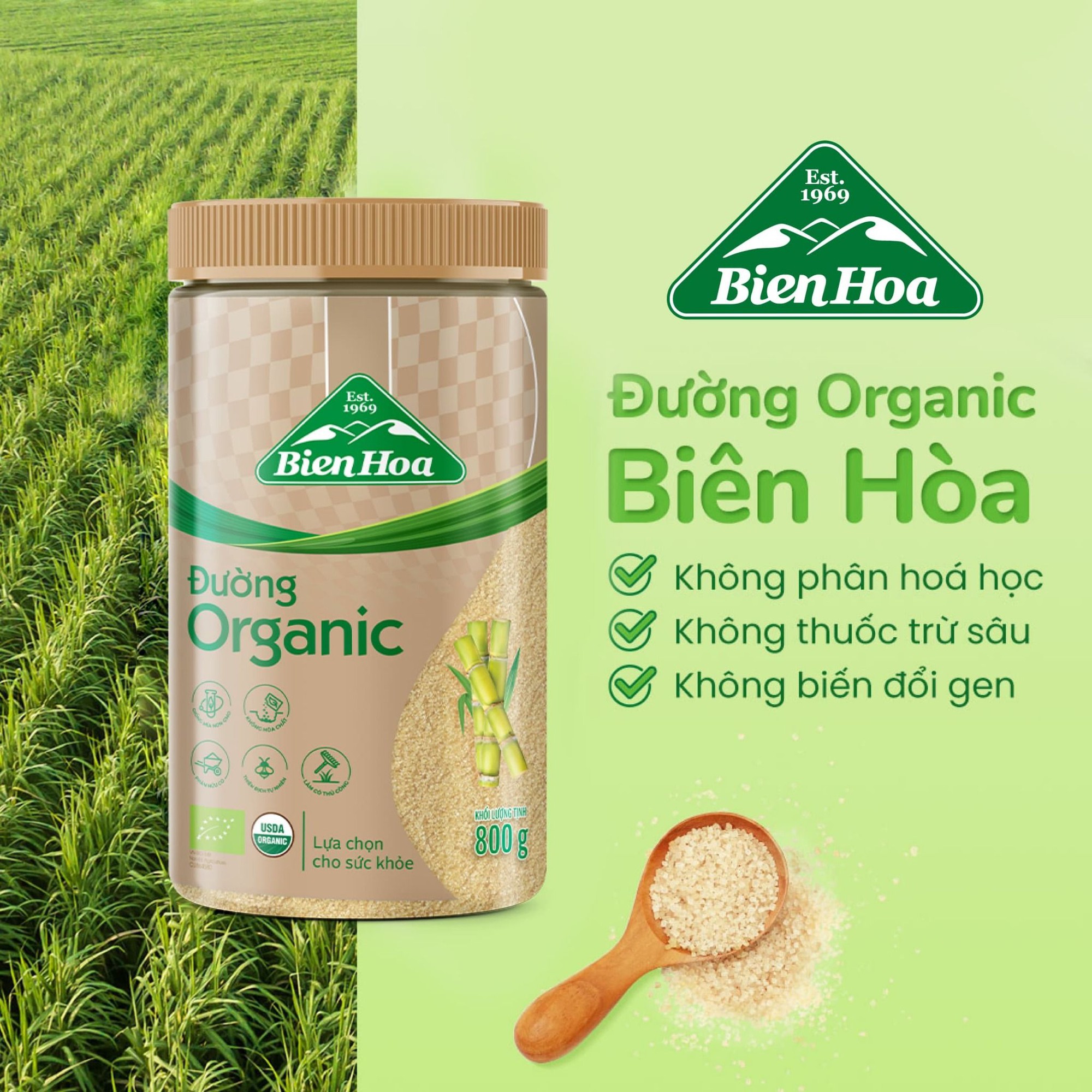 Sức mạnh chinh phục châu Âu từ hộp đường 800gr "Made by Vietnam": Nắm kỷ lục đầu tiên tại Việt Nam- Ảnh 1.