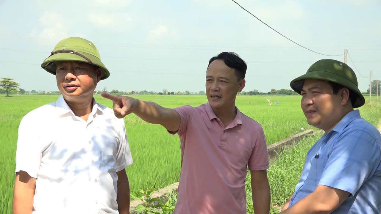 Hưng Yên: Sản xuất lúa hữu cơ, phát triển nông nghiệp sạch bền vững- Ảnh 3.