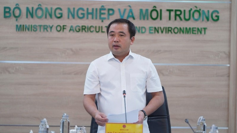Thị trường gạo Việt Nam không chịu tác động lớn nhờ dự trữ và thị trường mới- Ảnh 1.