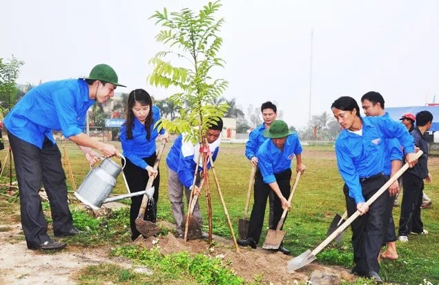 Hà Nội: Phấn đấu trồng mới hơn 400.000 cây xanh trong năm 2026- Ảnh 1.
