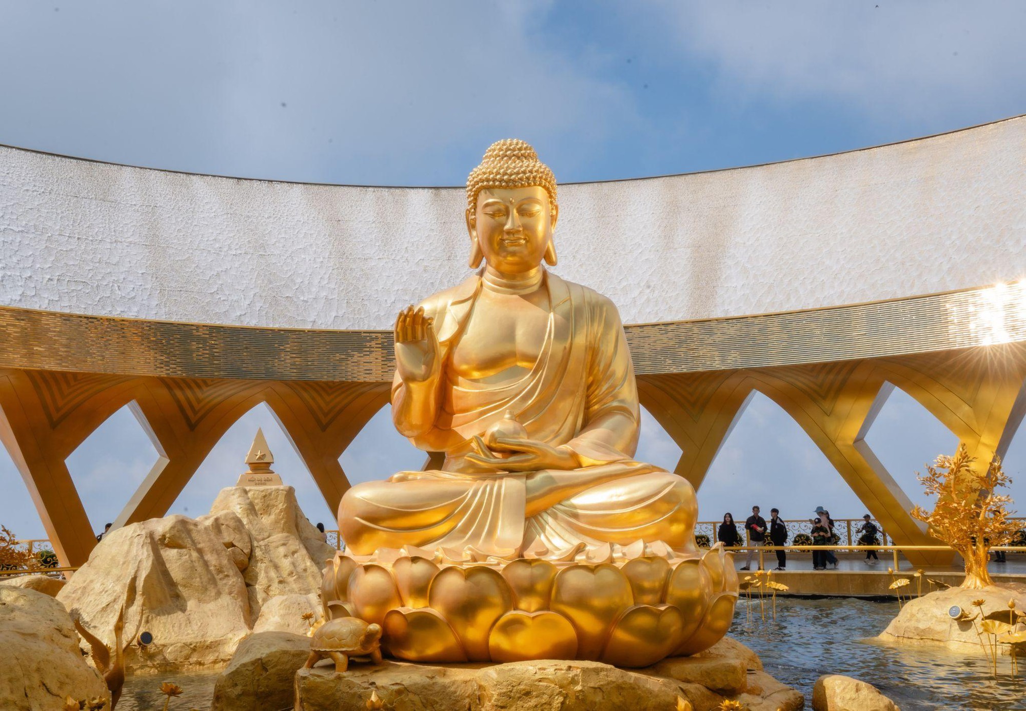 Chuyện ít biết về cây sung cổ bên tượng Phật Câu Na Hàm Mâu Ni trên núi Bà Đen- Ảnh 1.