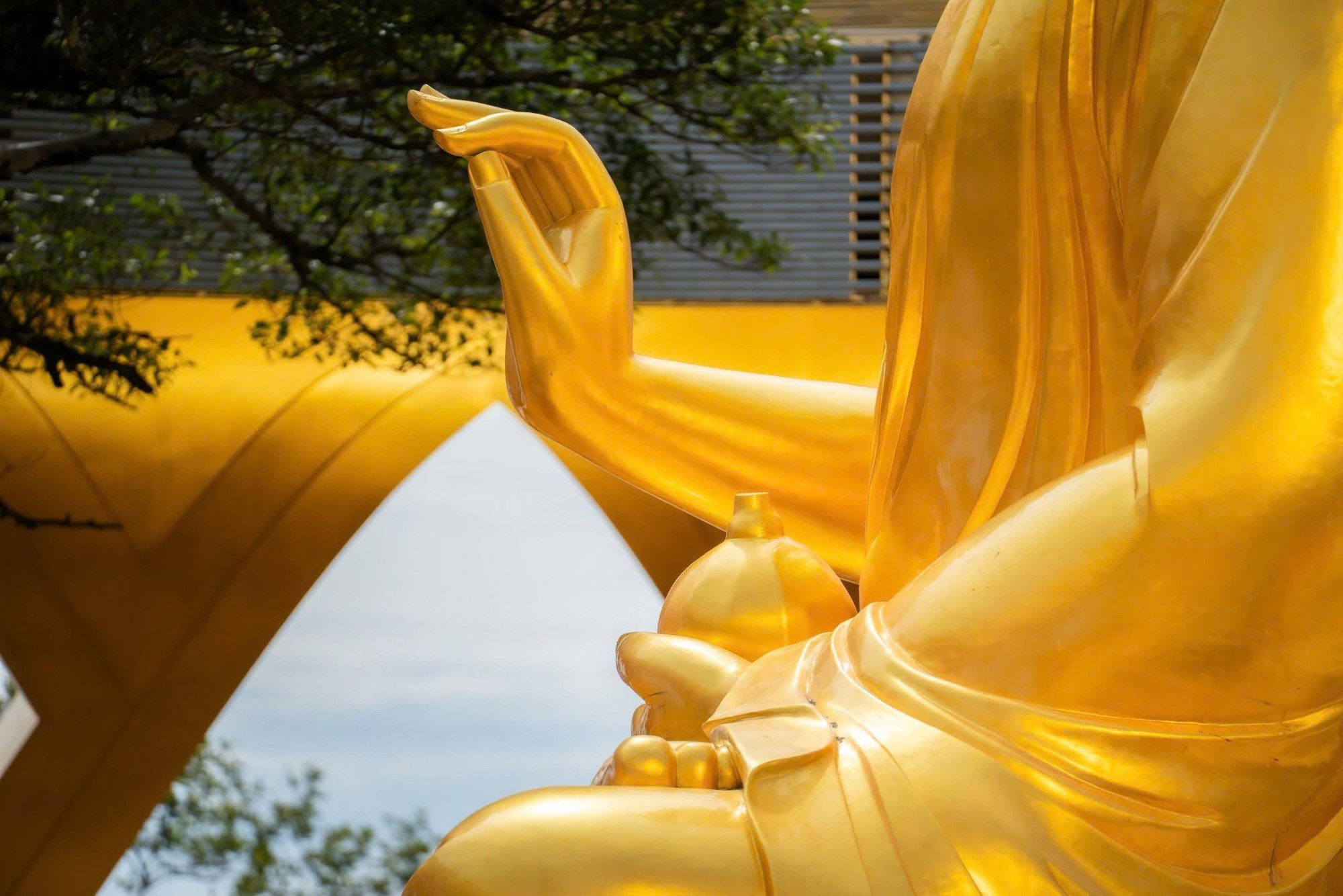 Chuyện ít biết về cây sung cổ bên tượng Phật Câu Na Hàm Mâu Ni trên núi Bà Đen- Ảnh 2.