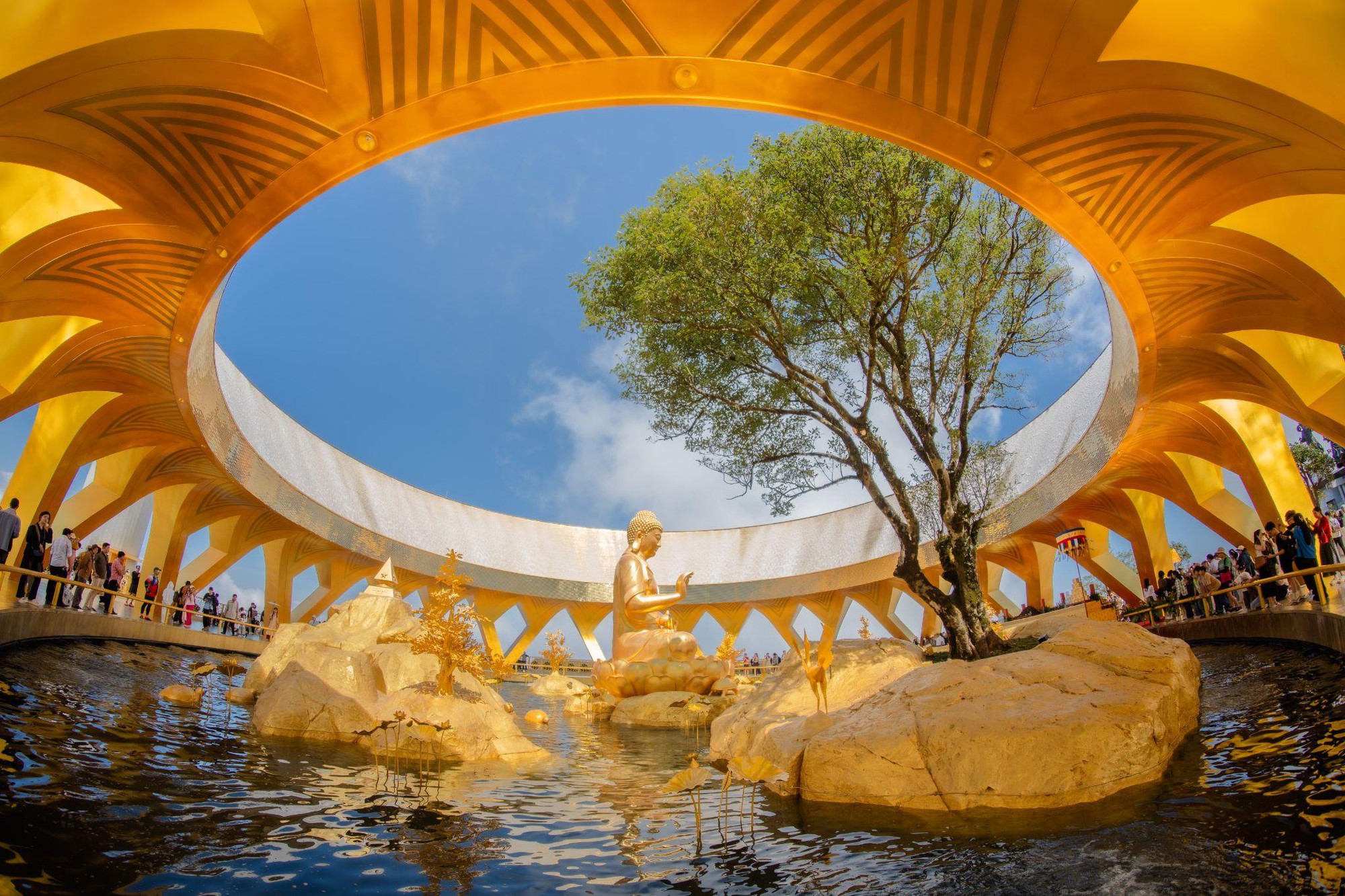 Chuyện ít biết về cây sung cổ bên tượng Phật Câu Na Hàm Mâu Ni trên núi Bà Đen- Ảnh 3.