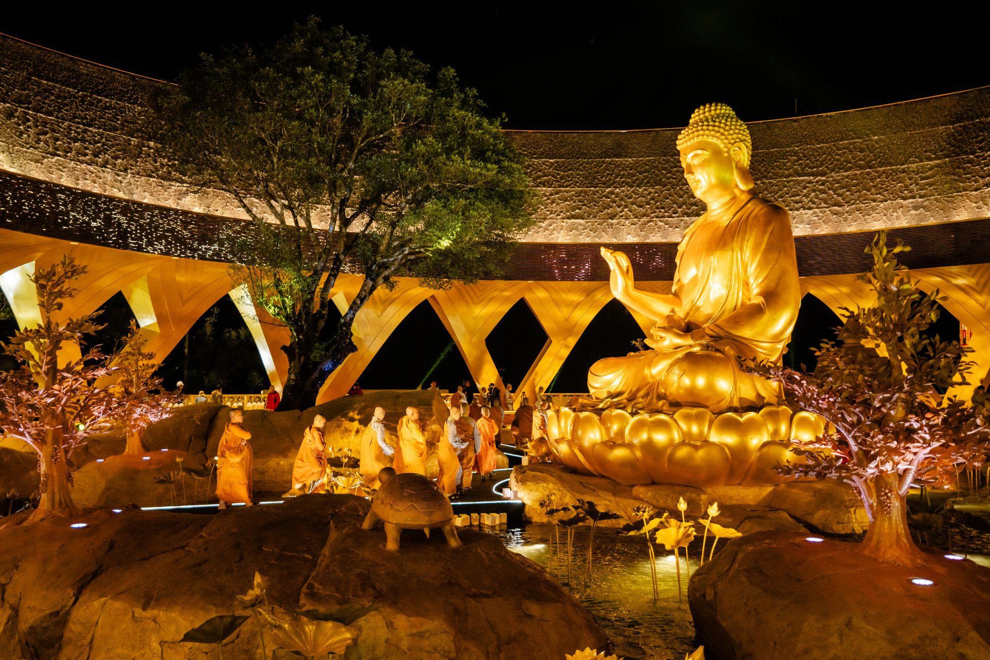 Chuyện ít biết về cây sung cổ bên tượng Phật Câu Na Hàm Mâu Ni trên núi Bà Đen- Ảnh 4.