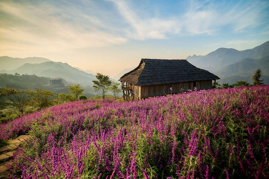 Lý do Sa Pa dẫn đầu Châu Á về tăng trưởng du lịch?- Ảnh 1.