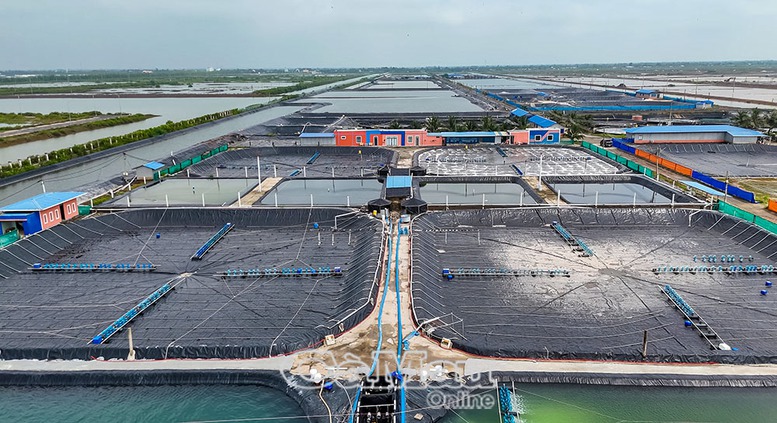 Cà Mau phải bứt phá mạnh mẽ để "vững tin cùng cả nước bước vào kỷ nguyên mới"- Ảnh 6.