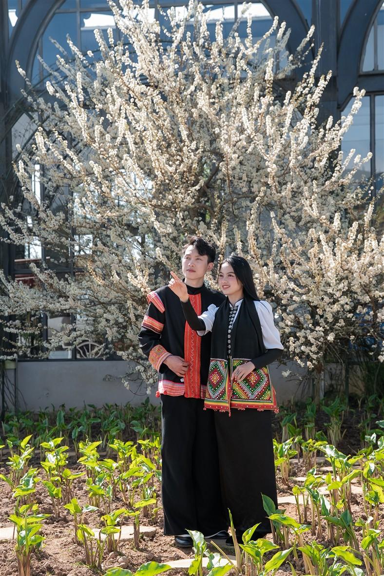 C:\Users\haht02\Desktop\Hoa man_rz\PDM08148.jpg