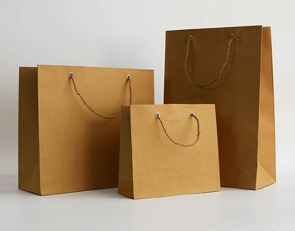 Hoa Kỳ công bố kết luận sơ bộ thuế chống bán phá giá túi giấy Việt Nam- Ảnh 1.